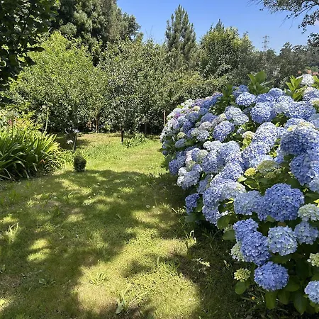 Quinta De Melquiades * Portela (Porto)