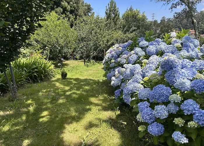 Quinta De Melquiades * Portela (Porto)